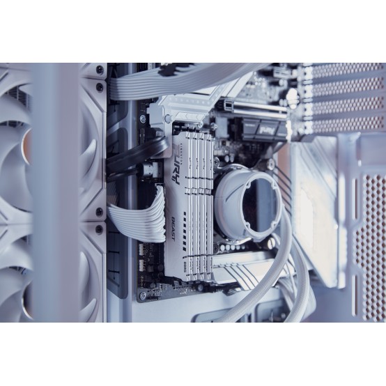 Memorie Kingston FURY Beast White EXPO KF560C36BWE2K2-32