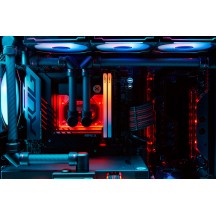 Memorie Kingston Renegade RGB Limited Edition XMP KF580C36RLAK2-48