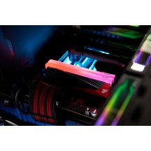 Memorie Kingston Renegade RGB Limited Edition XMP KF580C36RLAK2-48