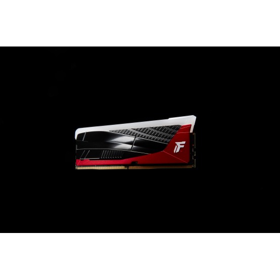 Memorie Kingston Renegade RGB Limited Edition XMP KF580C36RLAK2-48