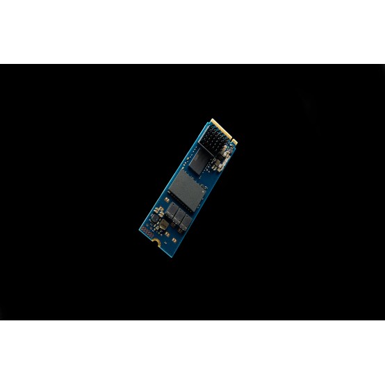 SSD Kingston Data Center DC2000B SEDC2000BM8/480G