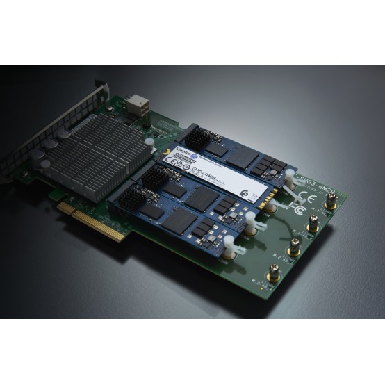 SSD Kingston Data Center DC2000B SEDC2000BM8/960G