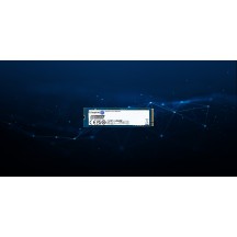 SSD Kingston Data Center DC2000B SEDC2000BM8/960G