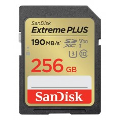 Card memorie SanDisk EXTREME PLUS SDSDXWV-256G-GNCIN