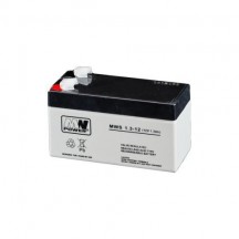 Acumulator MW Power MWS1.3-6