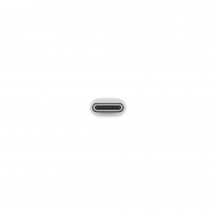 Adaptor Apple USB-C to USB Adapter MW5L3ZM/A
