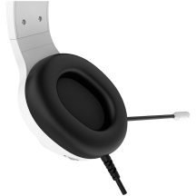 Casca Canyon  CND-SGHS6W