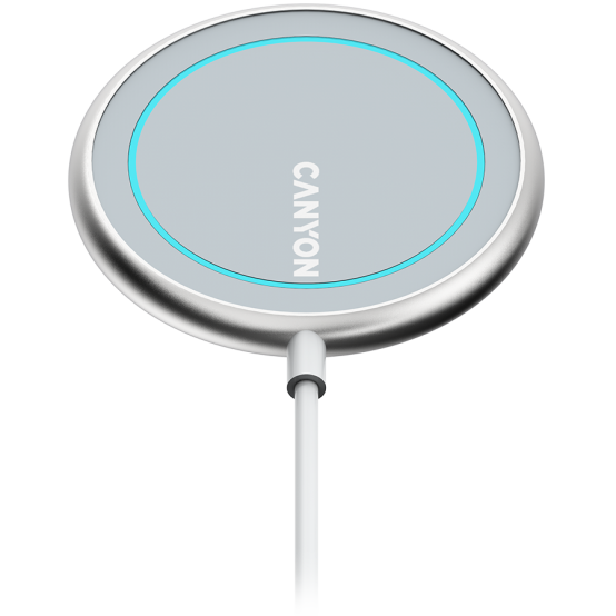 Alimentator Canyon  CNS-WCS100
