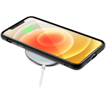 Alimentator Canyon  CNS-WCS100