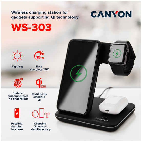 Alimentator Canyon  CNS-WCS303DG