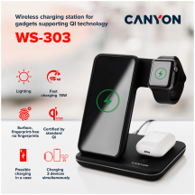 Alimentator Canyon  CNS-WCS303DG