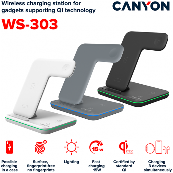 Alimentator Canyon  CNS-WCS303DG