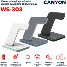 Alimentator Canyon  CNS-WCS303DG