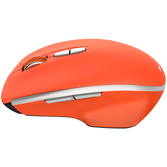 Mouse Canyon  CNS-CMSW21R