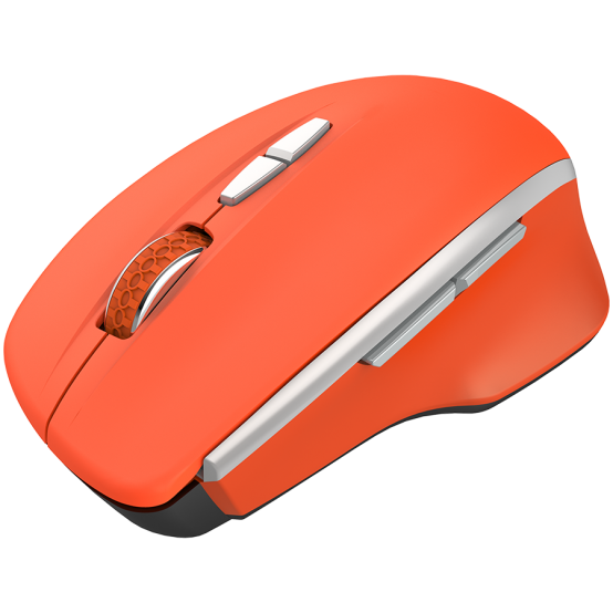 Mouse Canyon  CNS-CMSW21R
