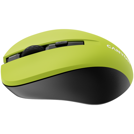 Mouse Canyon  CNE-CMSW1Y