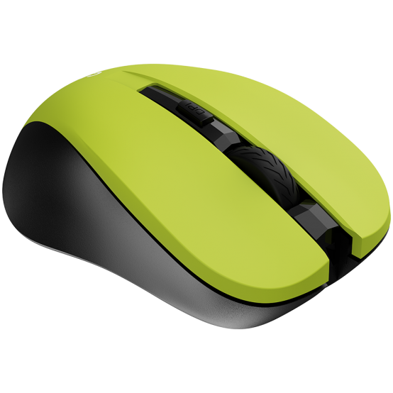 Mouse Canyon  CNE-CMSW1Y