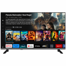 Televizor Horizon  32HL6360H/D