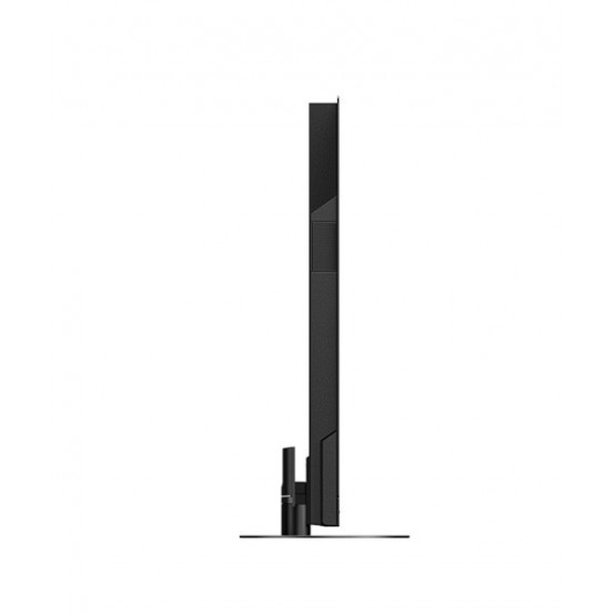 Televizor Panasonic  TX-55JZ2000E