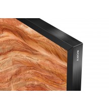 Monitor Sony BZ30L FW-98BZ30L