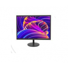 Monitor HIKVision  DS-D5019S0-1P0