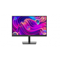 Monitor HIKVision  DS-D5024F2-1P2