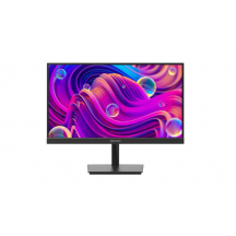 Monitor HIKVision DS-D5024F2-1P2