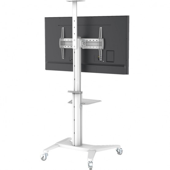 Suport Techly  ICA-TR48W