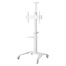 Suport Techly  ICA-TR48W
