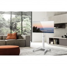 Suport Techly  ICA-TR48W