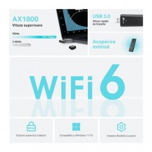 Placa de retea TP-Link  ARCHER TX20U