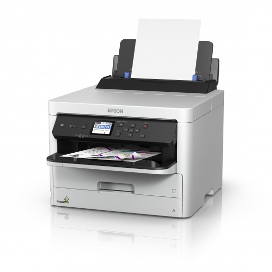 Cartus Epson T01C1 C13T01C100