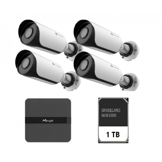 Camera de supraveghere Milesight  KIT4BULLET2MP