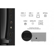 Televizor TCL 55V6C