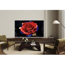 Televizor TCL 75T8C