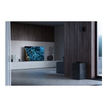 Televizor Sony FWD-55A80L