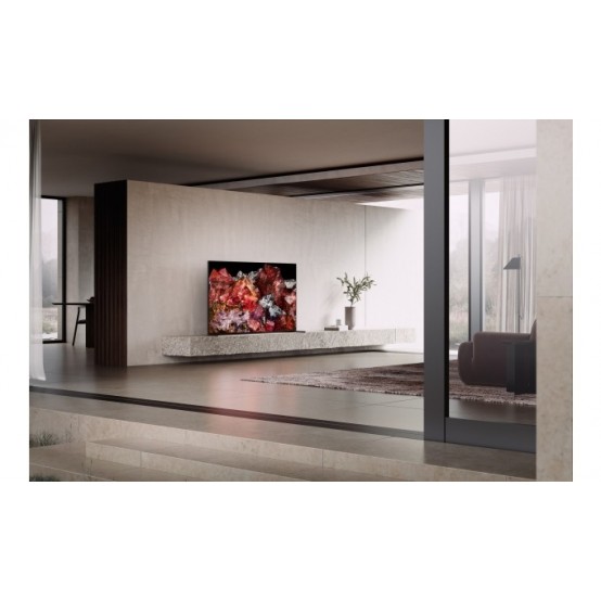 Televizor Sony FWD-65X95L