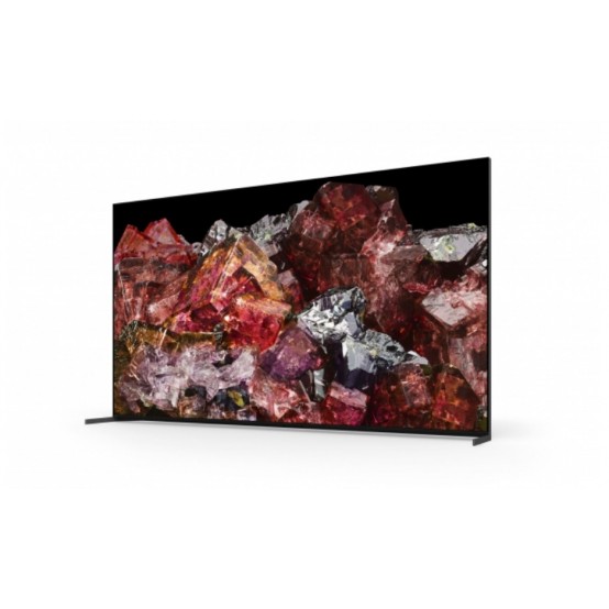 Televizor Sony FWD-65X95L