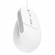 Mouse Trust Bayo II 25397
