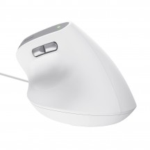 Mouse Trust Bayo II 25397