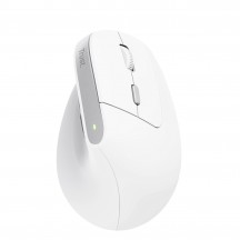 Mouse Trust Bayo II 25398