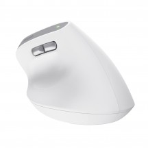 Mouse Trust Bayo II 25398