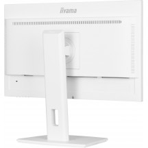 Monitor iiyama  XUB2497HSN-W1
