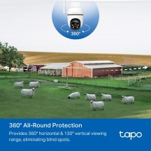 Camera de supraveghere TP-Link  TAPO C501GW