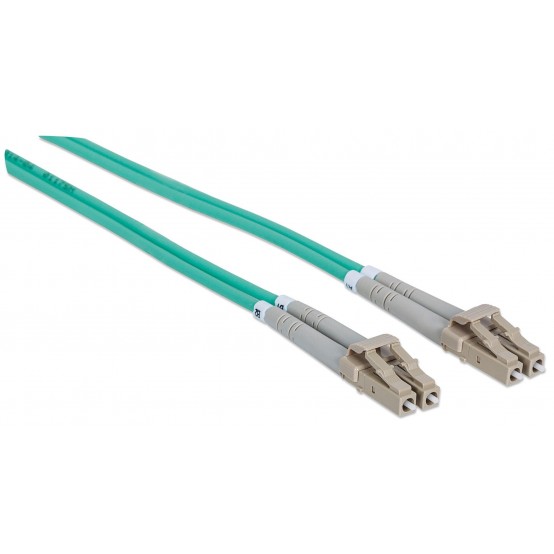 Cablu Intellinet  302747