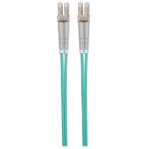 Cablu Intellinet  302747