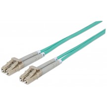 Cablu Intellinet  302747