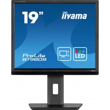 Monitor iiyama  B1980S-B1