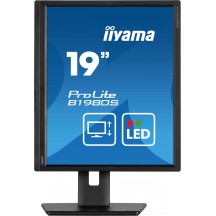 Monitor iiyama  B1980S-B1