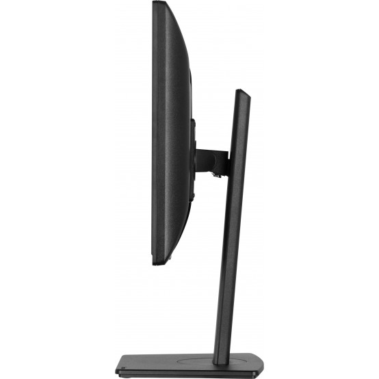 Monitor iiyama  B1980S-B1